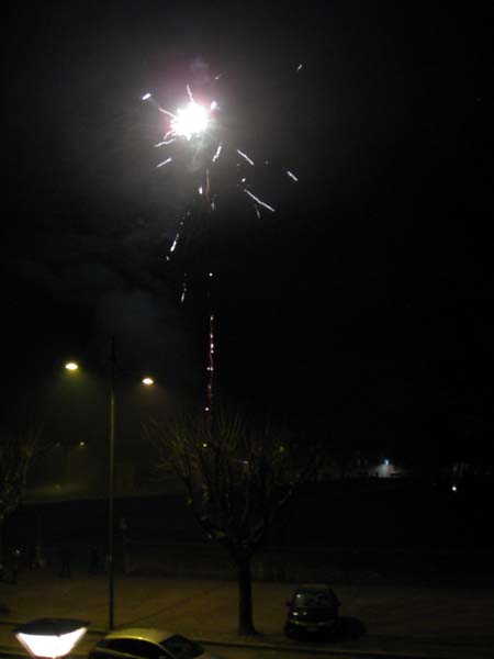 CAPODANNO 2016 (25)