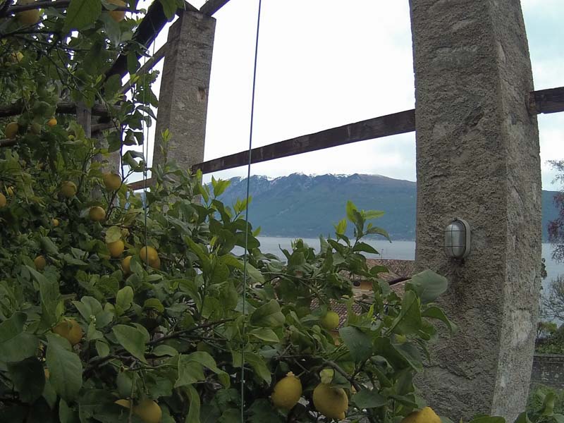 Limonaia della Malora 7-5-2017 (Mclub Pandino) (11)