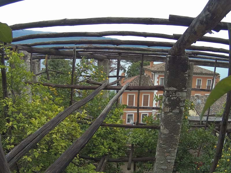 Limonaia della Malora 7-5-2017 (Mclub Pandino) (15)