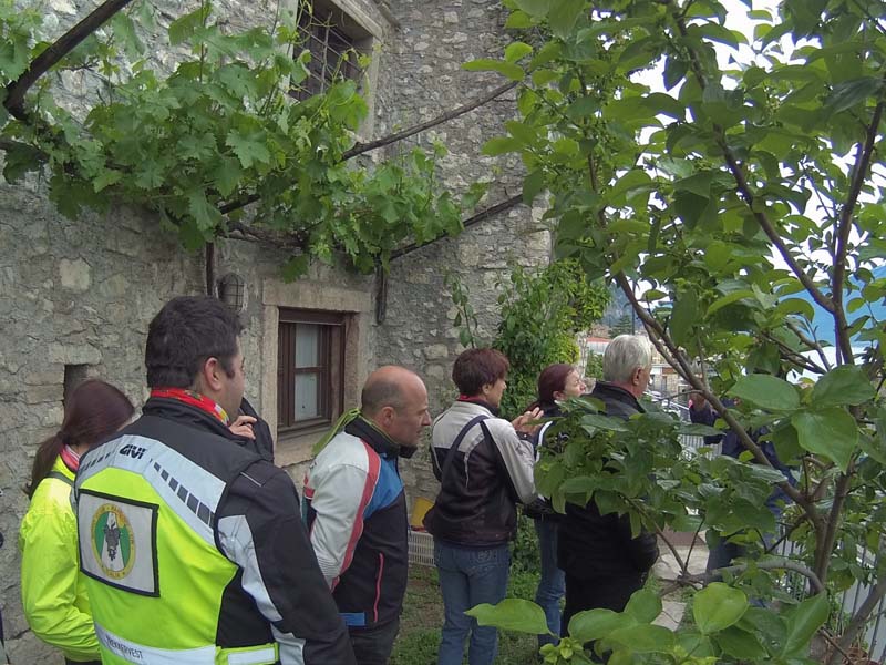 Limonaia della Malora 7-5-2017 (Mclub Pandino) (2)