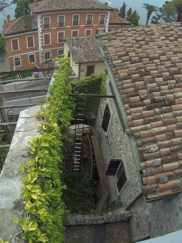 Limonaia della Malora 7-5-2017 (Mclub Pandino) (25)