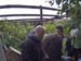 Limonaia della Malora 7-5-2017 (Mclub Pandino) (17)