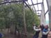 Limonaia della Malora 7-5-2017 (Mclub Pandino) (5)