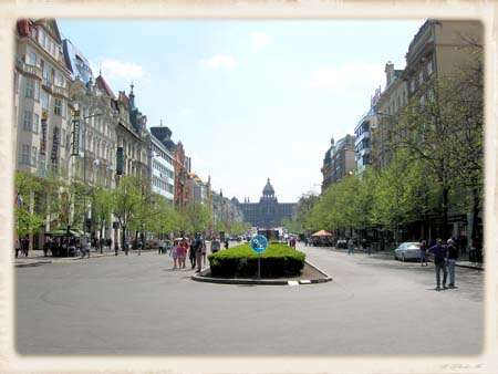 DSCN6025