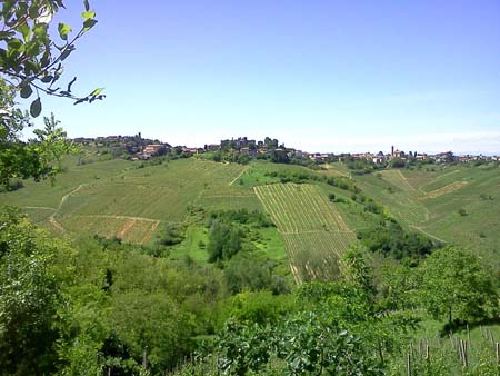 IMG042